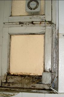 Schimmelpilzbekämpfung